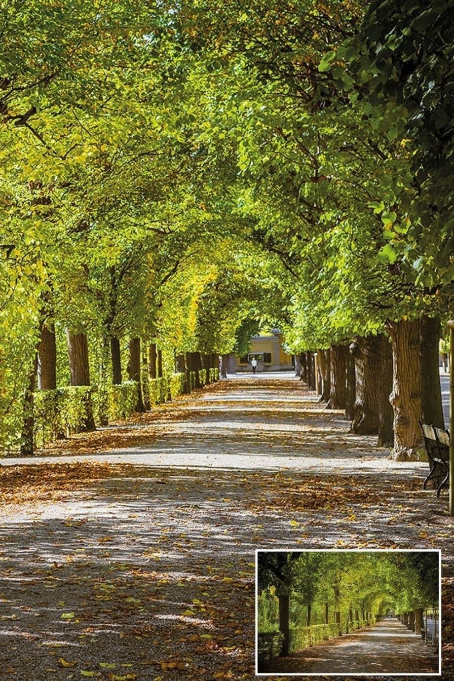 Landscape Patterned Textile Based Personalized Print Wallpaper