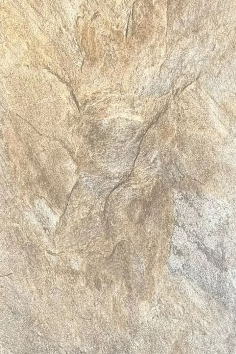 Mocha Mermer Desenli Flexinil Stone İnce Esnek Doğal Taş Panel 50*100 cm