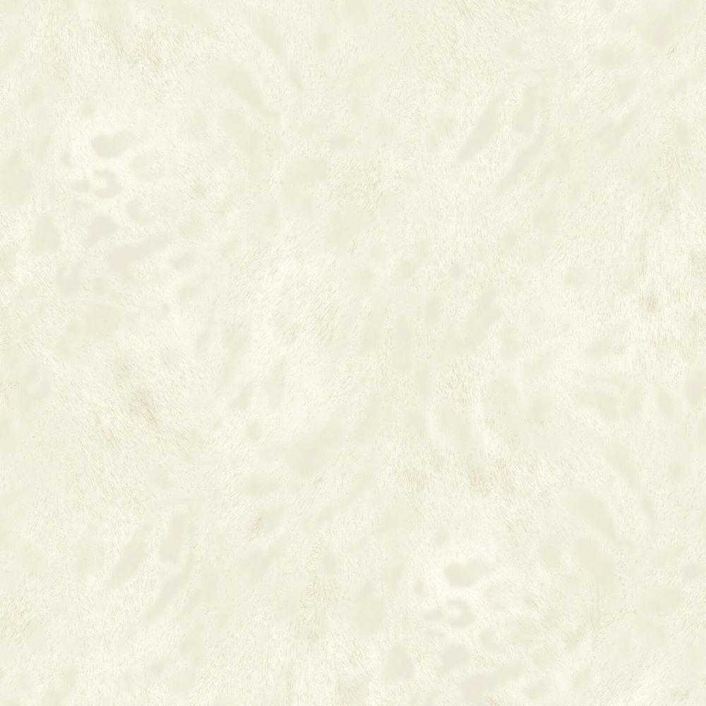 Savana Leopar Desenli Duvar Kağıdı Z77547