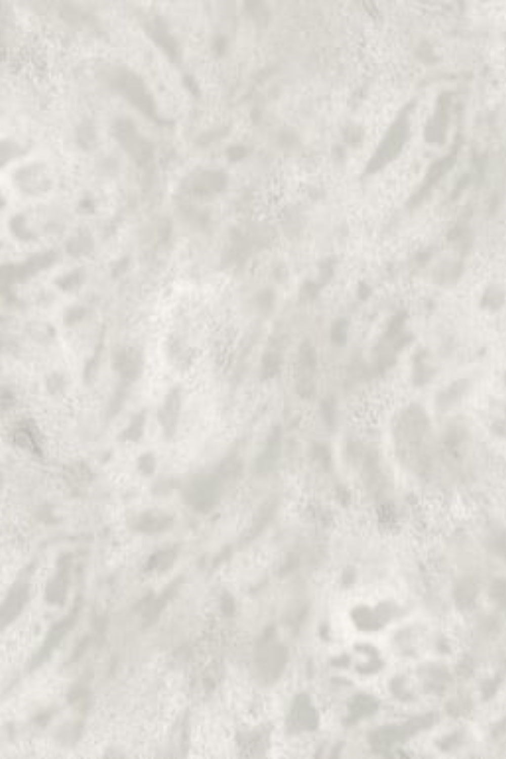 Savana Leopar Desenli Duvar Kağıdı Z77548