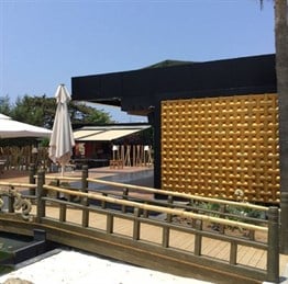 3D Venus Wall Panel Gold