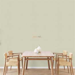 Adawall Beta Düz Duvar Kağıdı 1112-2