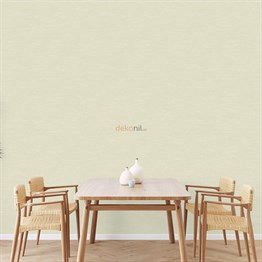 Adawall Beta Düz Duvar Kağıdı 1113-2