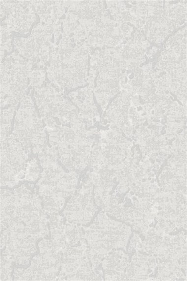 Adawall Dante Çatlak Desenli Duvar Kağıdı 1406-2