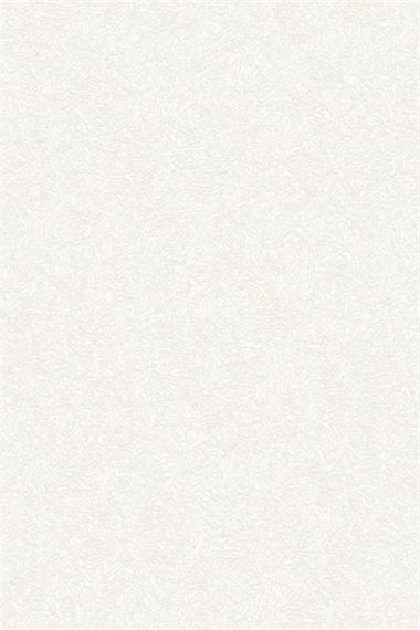 Adawall Dante Düz Duvar Kağıdı 1404-1