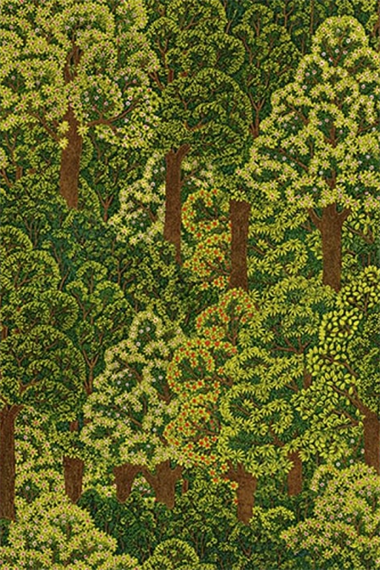 Adawall Icon Duvar Kağıdı 24107-4