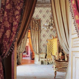 خلفية زهرة أداوال كالينكا 5802-4