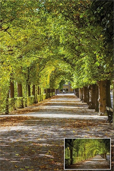 Landscape Patterned Textile Based Personalized Print Wallpaper