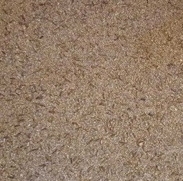 Reflection EM-143 Kahverengi Duvar Kağıdı