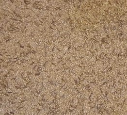 Reflection EM-145 Krem Duvar Kağıdı