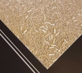 Reflection EM-147 Krem Duvar Kağıdı