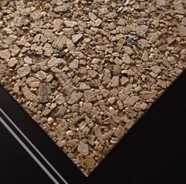 Reflection Krem Simli Mantar Duvar Kağıdı MS-355