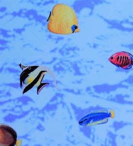 Gekkofix Mavi Balık Desenli Yapışkanlı Folyo