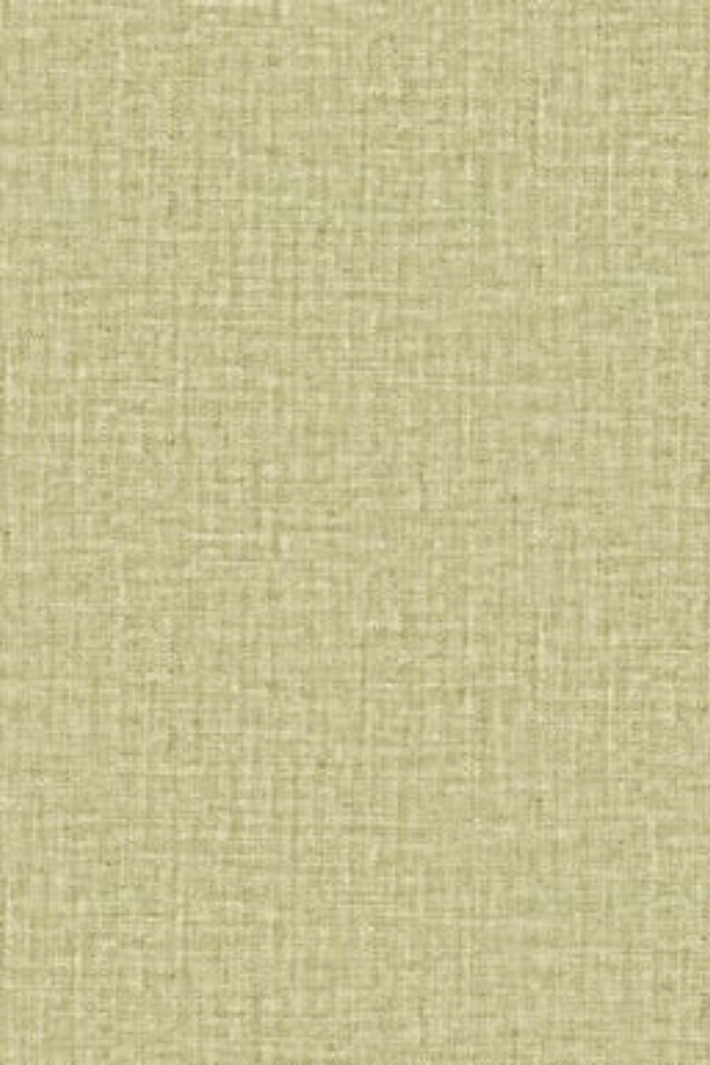 Savanna Plain Wallpaper Z77501