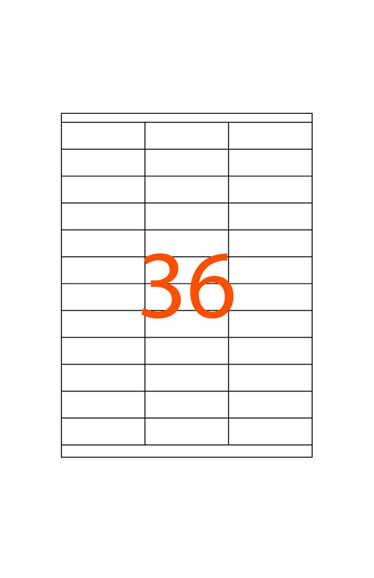 63 x 24 mm Lazer Etiketi JB-1536