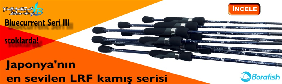 YAMAGA BC SERİ III