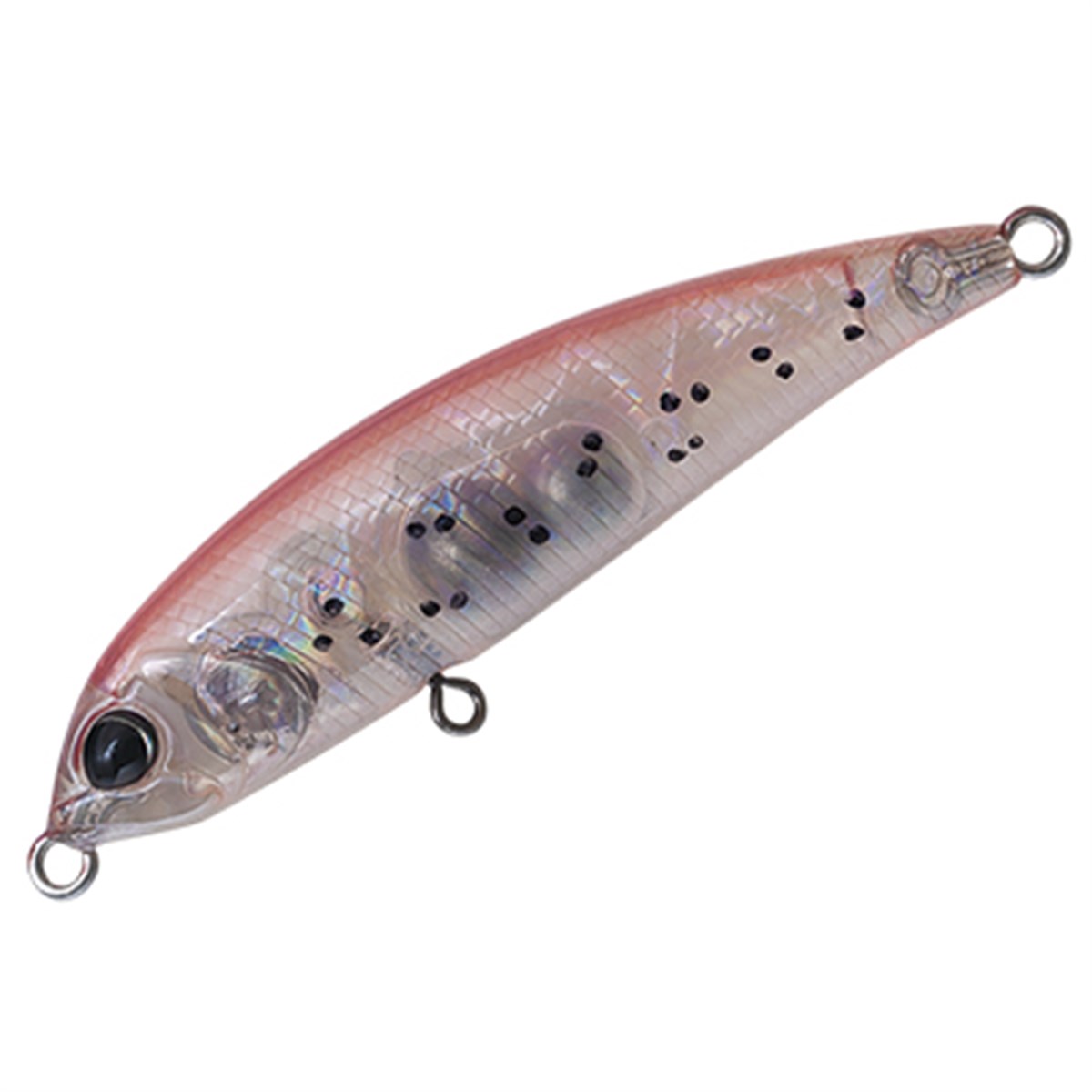 BIT ARTS LIPLESS DEGREE