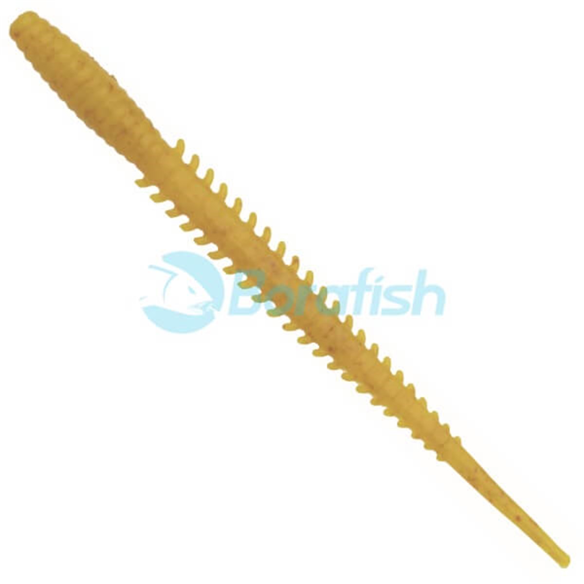 ECOGEARECOGEAR JUKUSEI AQUA AJI STRAIGHT