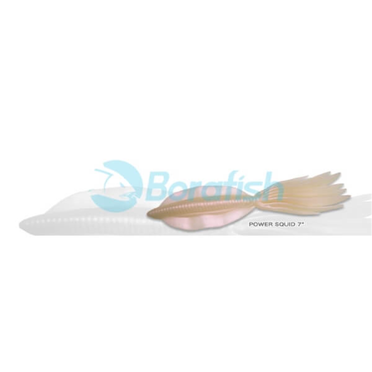 ECOGEARECOGEAR POWER SQUID