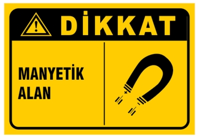 Manyetik Alan