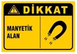 Manyetik Alan