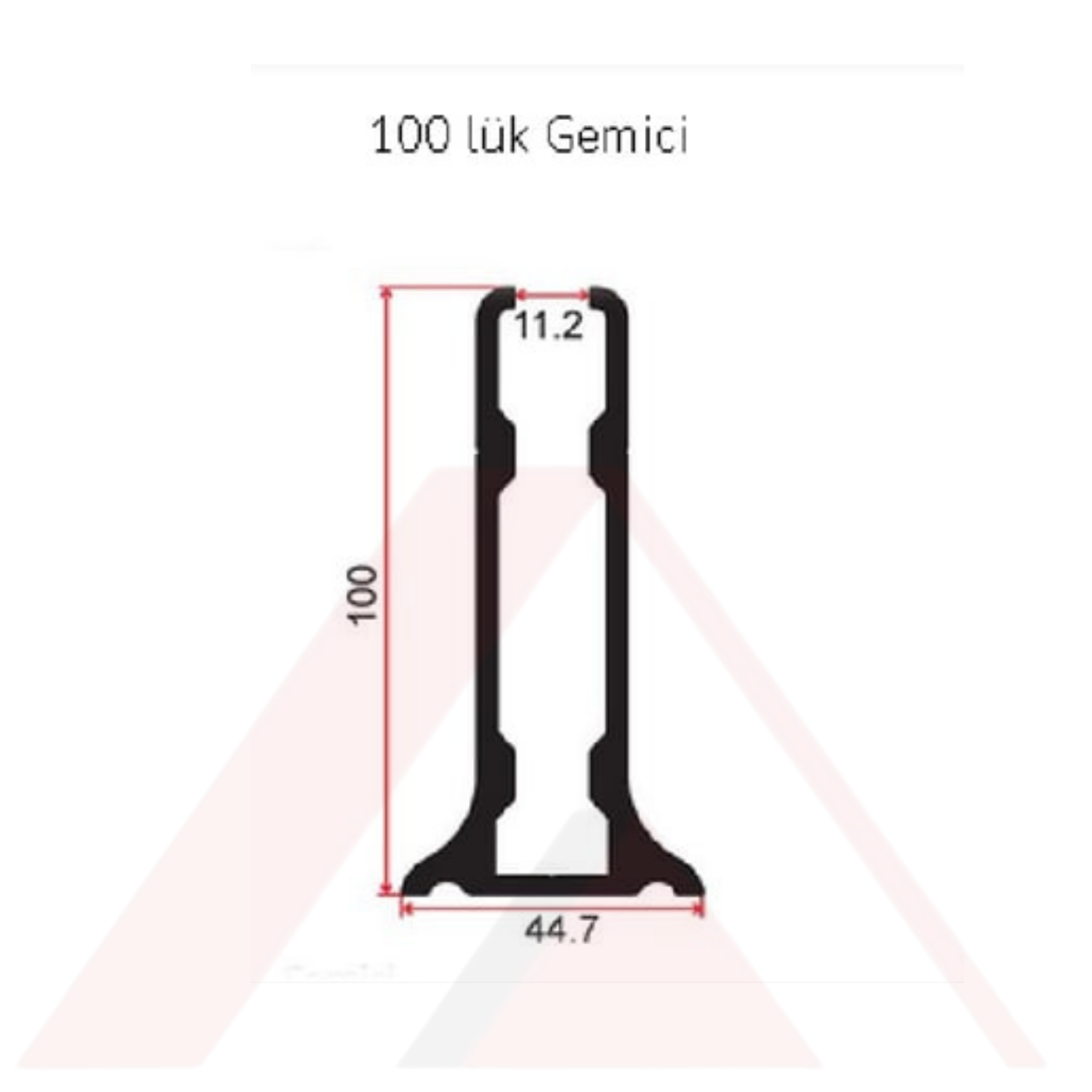 100 LÜK GEMİCİ PROFİLİ