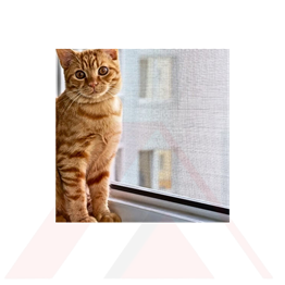 SİNEKLİK KEDİ TÜLÜ 