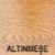 Ahşap Desen Lamine Altınmeşe