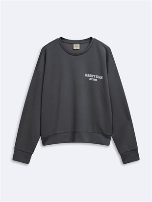 Ltb SAPAHE Regular Fit Yazı Baskılı Bisiklet Yaka Gri Sweatshırt