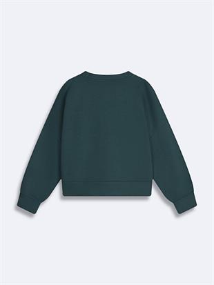 Ltb CAMESE Colorado Baskılı Sıfır Yaka Uzun Kollu Sweatshırt 11258107161071