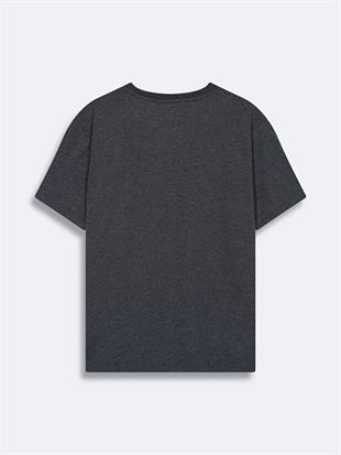 Ltb Jamabe Antrasit Erkek Sıfır Yaka Kısa Kol T-Shirt 1225841866089218