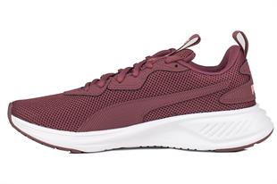 Puma Incinerate Erkek Bordo Koşu Ayakkabısı  37628822