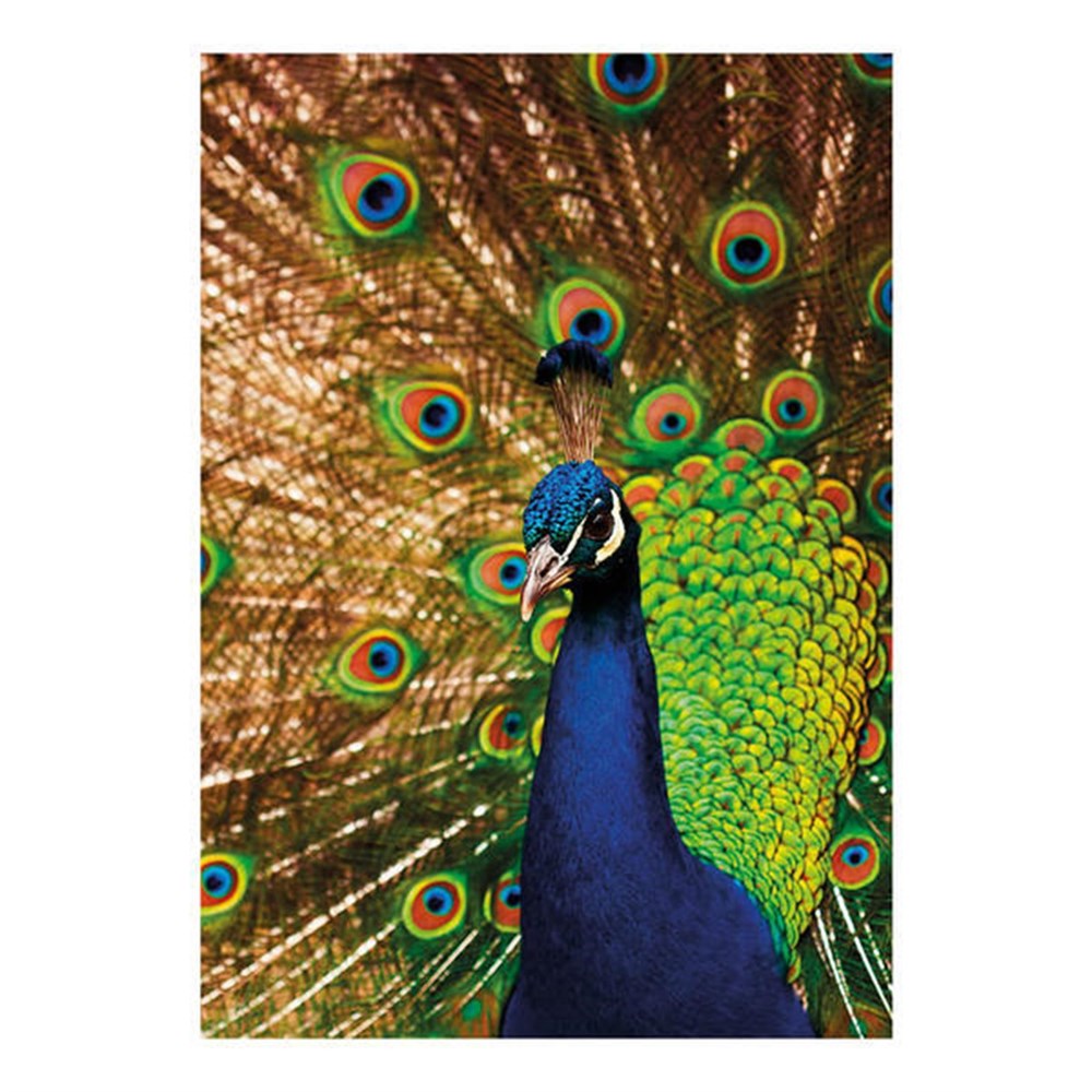 500 PRC TAVUS KUSU PUZZLE