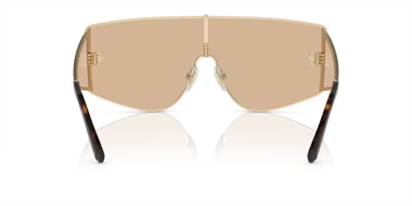 Dolce Gabbana 0DG 2305 1365/5A 44