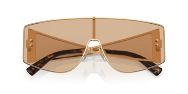 Dolce Gabbana 0DG 2305 1365/5A 44