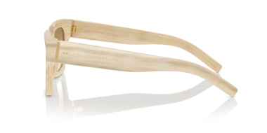 Dolce Gabbana 0DG 4413 3430/13 48