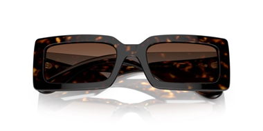 Dolce Gabbana 0DG 4416 502/13 53