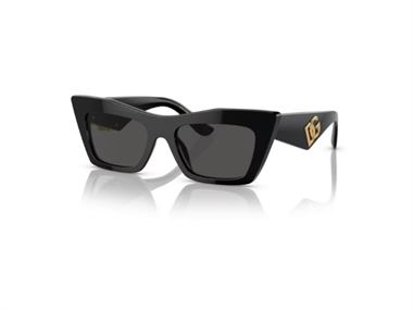 Dolce Gabbana 0DG 4435 501/87 53