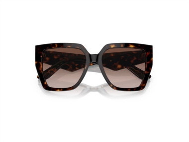 Dolce Gabbana 0DG 4438 502/13 55