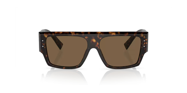 Dolce Gabbana 0DG 4459 502/73 56