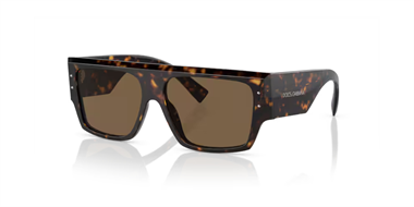 Dolce Gabbana 0DG 4459 502/73 56