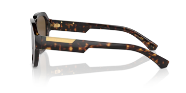 Dolce Gabbana 0DG 4464 502/73 56