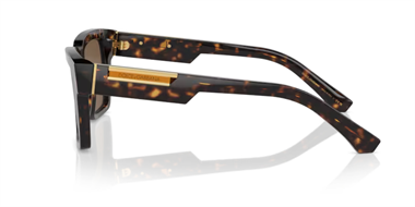 Dolce Gabbana 0DG 4465 502/73 55