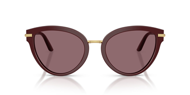 Dolce Gabbana 0DG 4492 3091/P5 55