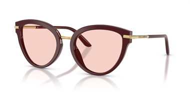 Dolce Gabbana 0DG 4492 3091/P5 55