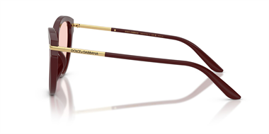 Dolce Gabbana 0DG 4492 3091/P5 55