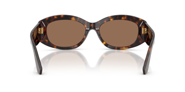 Dolce Gabbana 0DG 4502 502/73 55