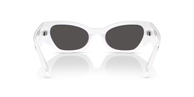 Dolce Gabbana 0DG 6186 3312/87 52