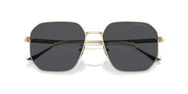 Emporio Armani 0EA 2154D 3013/87 57