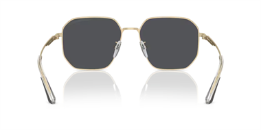 Emporio Armani 0EA 2154D 3013/87 57
